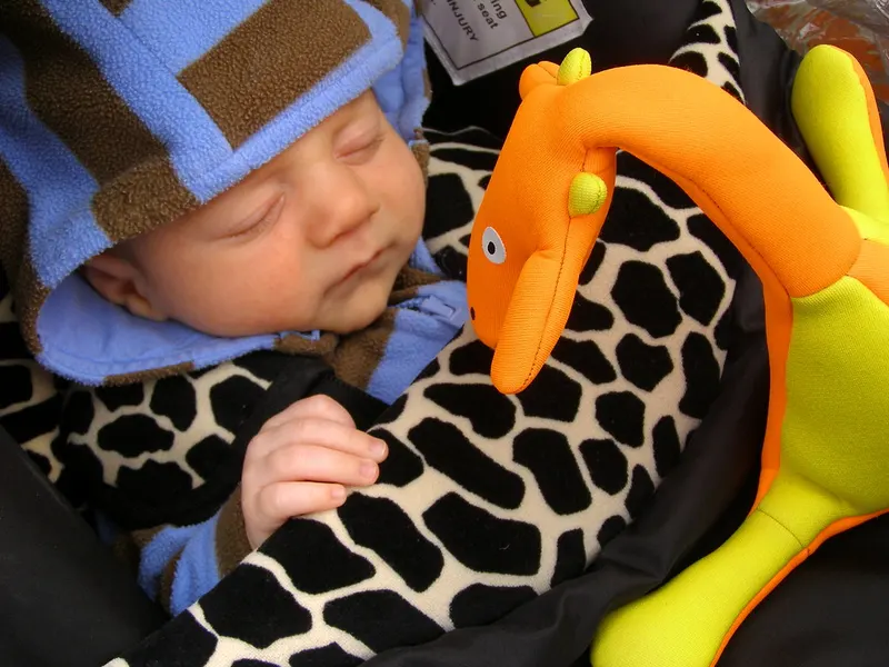 Baby asleep in a pram wrapped in a warm foot muff