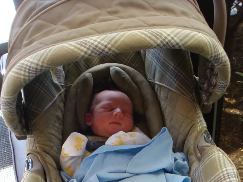 Newborn sleeping snugly in an infant car seat