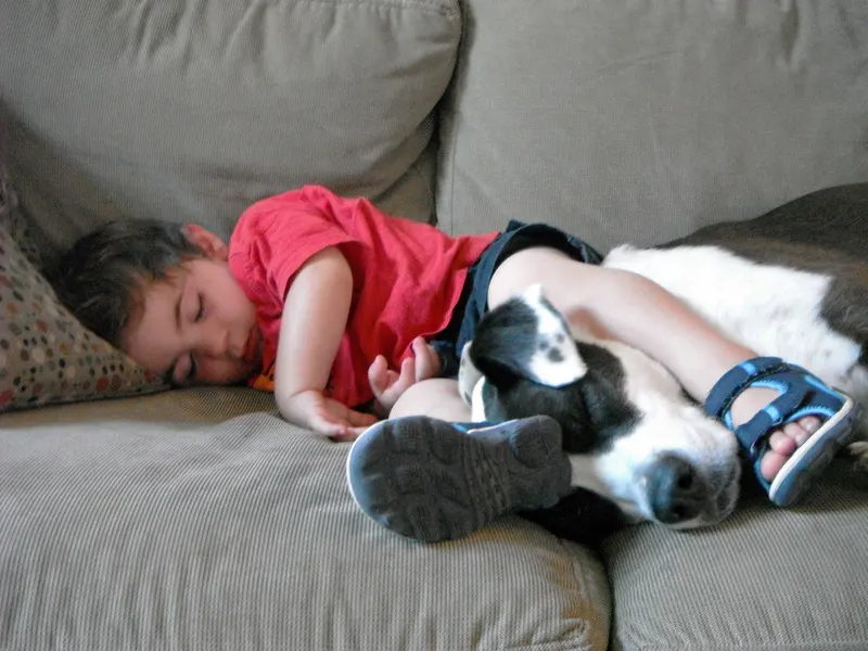 Toddler fast asleep on a sofa