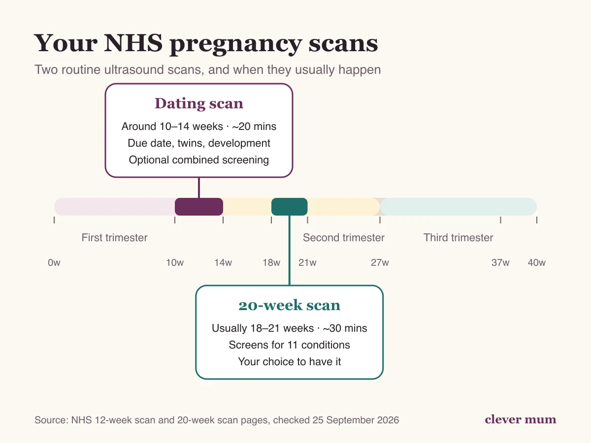 Pregnancy timeline showing the dating scan at 10 to 14 weeks and the 20-week scan at 18 to 21 weeks